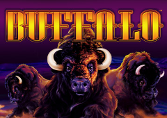 Buffalo