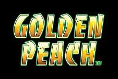 Golden Peach