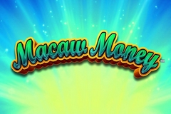 Macaw Money