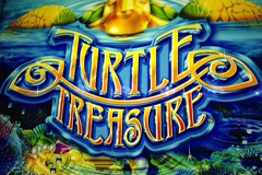 Turtle Treasure