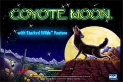 Coyote Moon