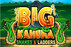 Big Kahuna Snakes and Ladders