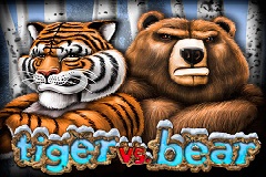 Tiger Vs Bear