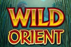 Wild Orient