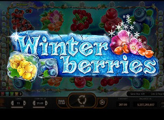 Winter Berries