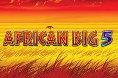 African Big 5