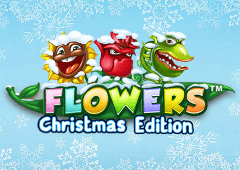 Flowers Christmas Edition